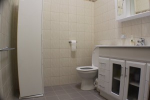 LUCY J DESIGN BATHROOM PERTH TAYLOR AFTER PIC 6